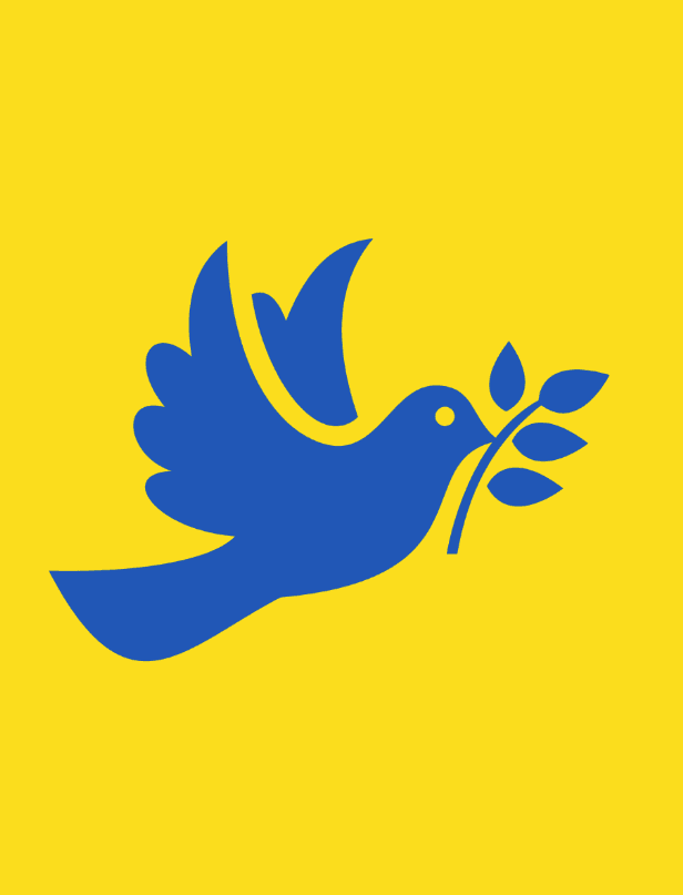 Ukraine officially agrees to a US backed ceasefire framework by December 31?