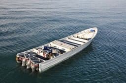 Trump announces new drug boat strike by December 12?